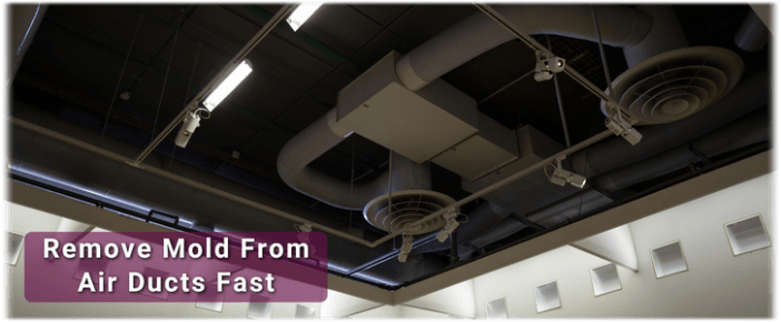 Air Duct Mold Removal in Roselle IL