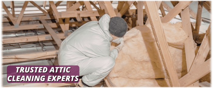 Attic Cleaning Roselle IL