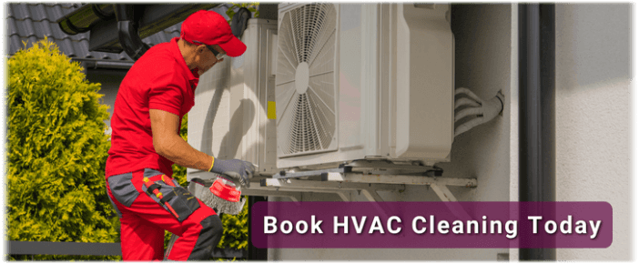 HVAC Mold Removal Roselle IL